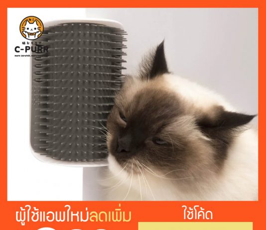 CAT IT หวีแปรงขนแมวสำหรับติดมุมกำแพง ขาโต๊ะ