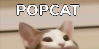 Pop Cat Statistics