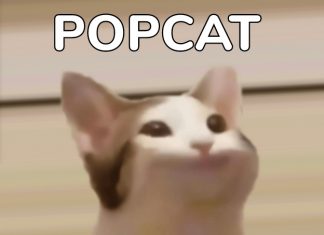 Pop Cat Statistics