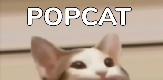 Pop Cat Statistics