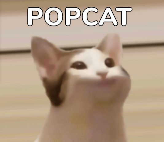 Pop Cat Statistics