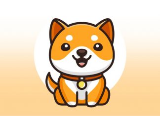 เหรียญ Baby Doge Coin คืออะไร